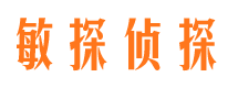 桃山找人公司